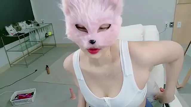 Kor_Cat Image 7